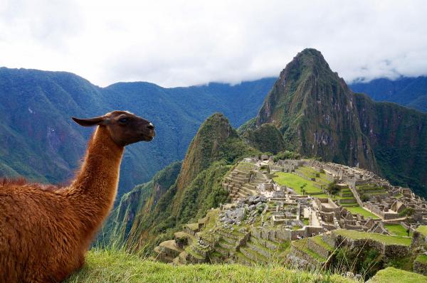 Machu Picchu Tours